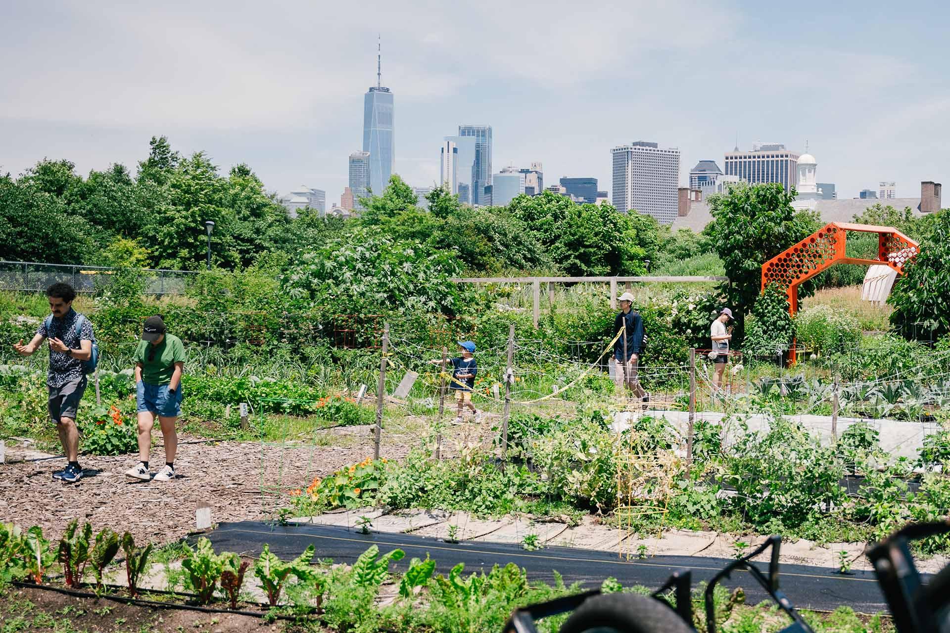 A bucolic scene on Governors Island with the spires of Lower Manhattan in the background of the frame.