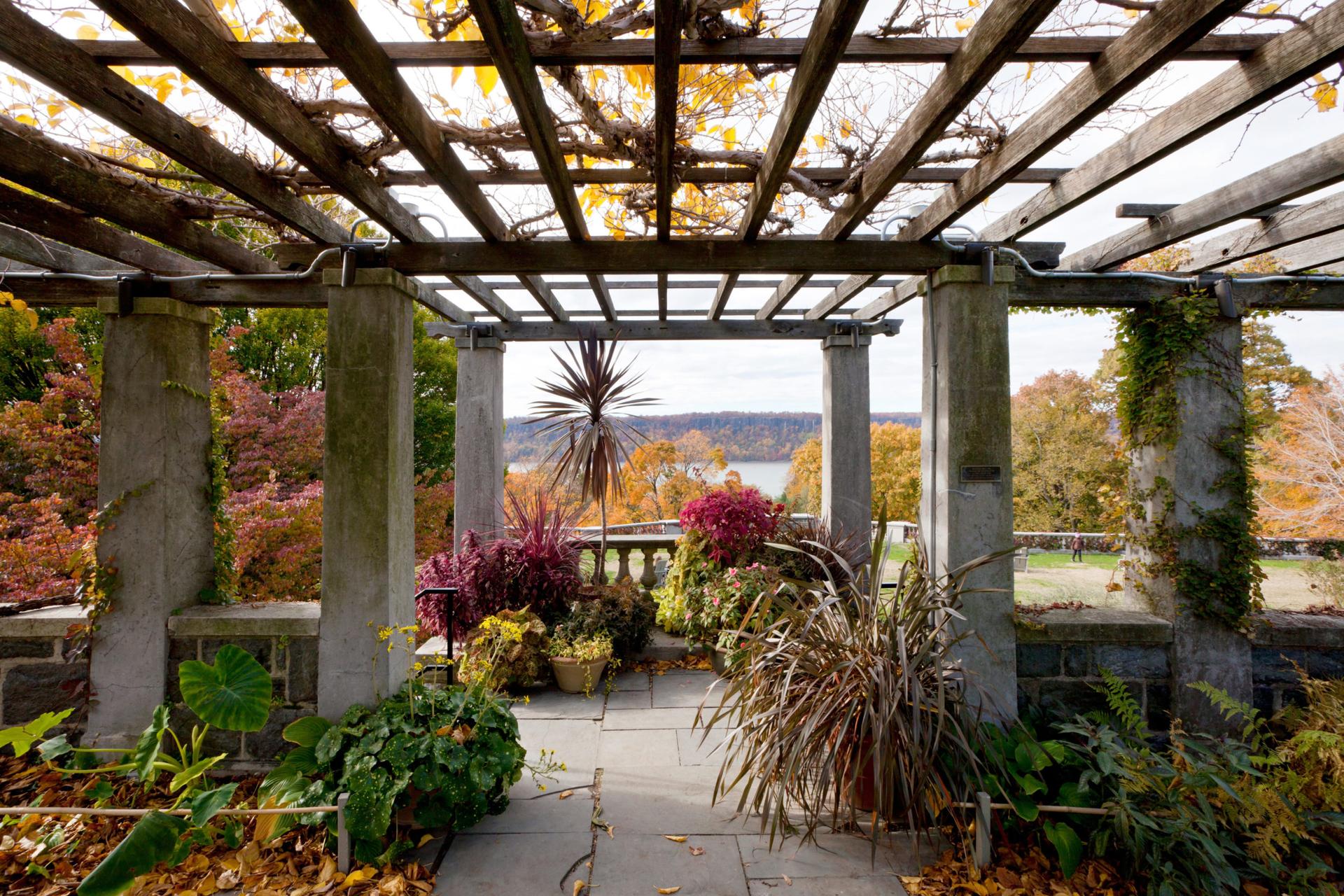 Flower garden, at Wave Hill Public Garden & Cultural Center, in The Bronx