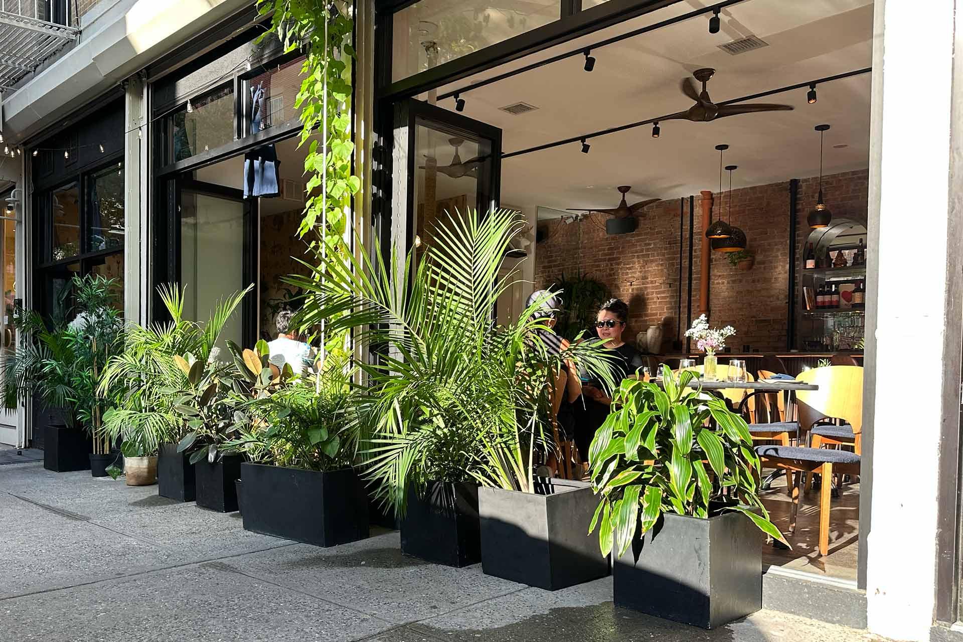 A café with large windows and many green potted plants outside. A person wearing sunglasses sits at a table indoors near the window. Sunlight casts shadows on the sidewalk and plants.