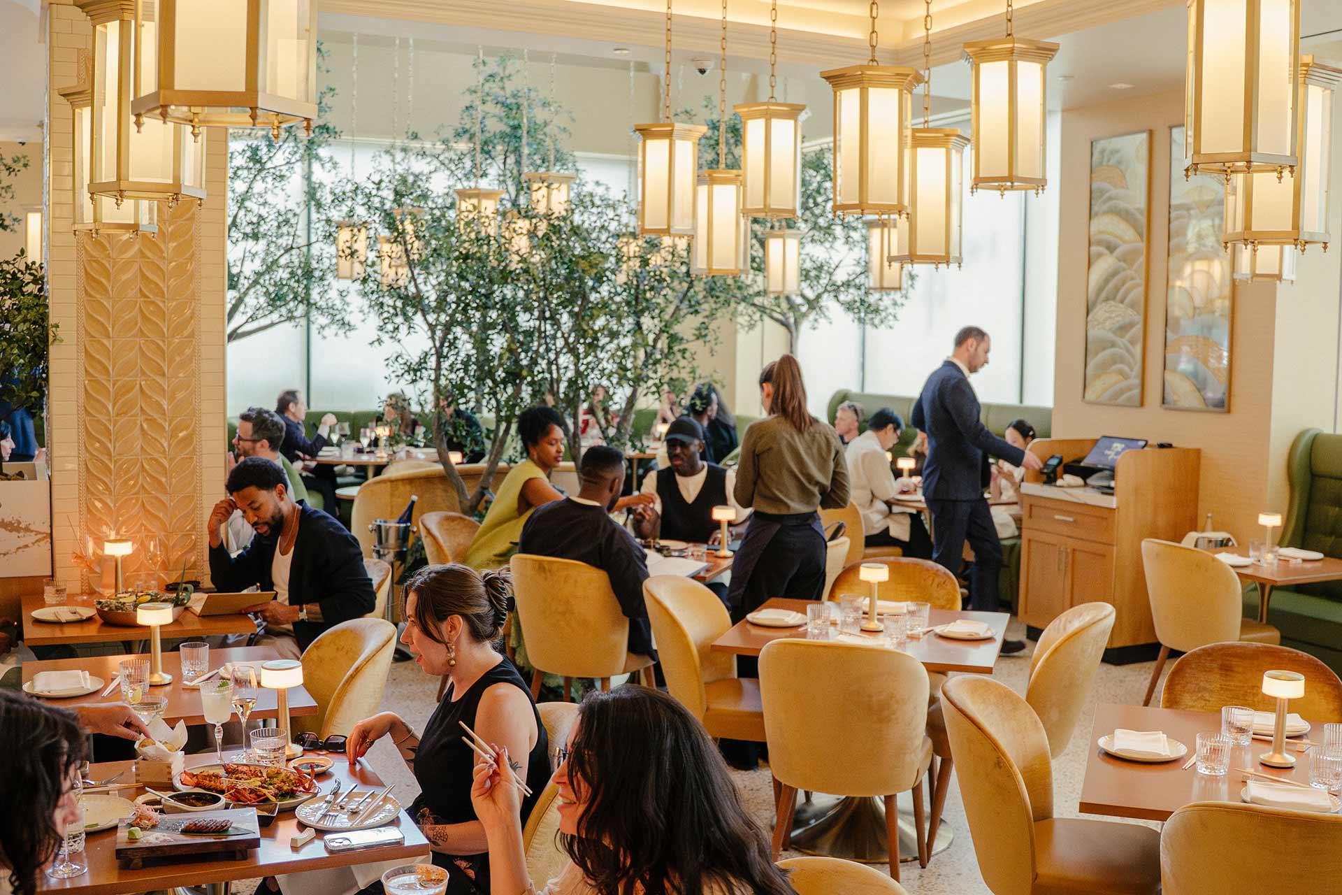A modern restaurant with yellow chairs and warm lighting, filled with people dining and talking. Servers attend to guests, and large windows and indoor plants create a bright, inviting atmosphere.