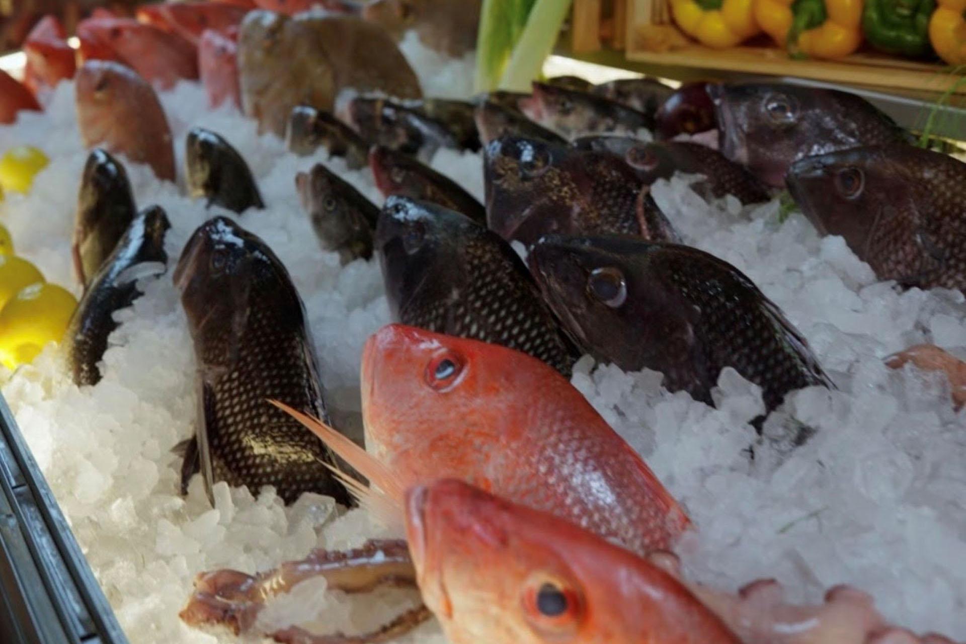 Various whole fish, mostly dark-colored with a few red ones, are displayed on a bed of ice at a market counter, with some vegetables visible in the background.